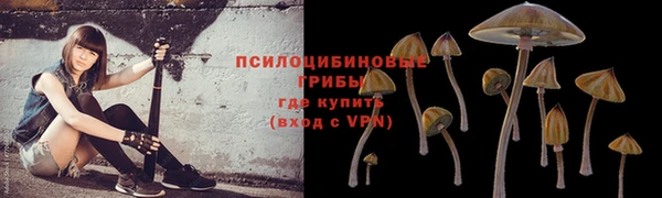 гидропоника Армянск