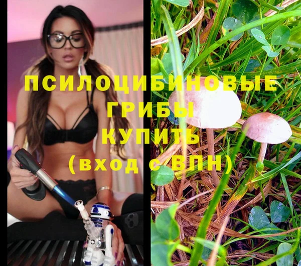 гидропоника Армянск