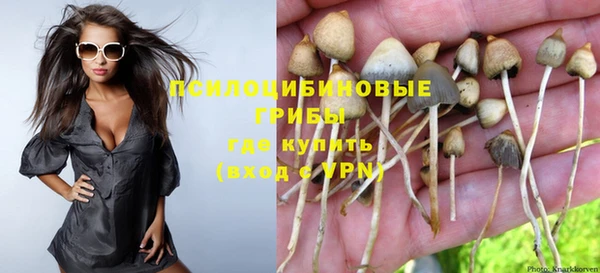 гидропоника Армянск