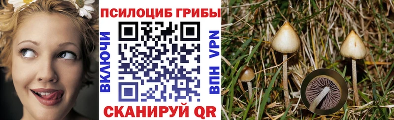 Галлюциногенные грибы Psilocybine cubensis  где продают наркотики  маркетплейс наркотические препараты  Гай 